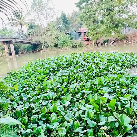 Homestay Hoang Gia Ap Ong Tu Exterior photo